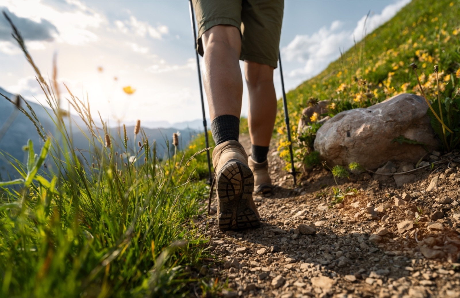 Person looking at a map on a trail