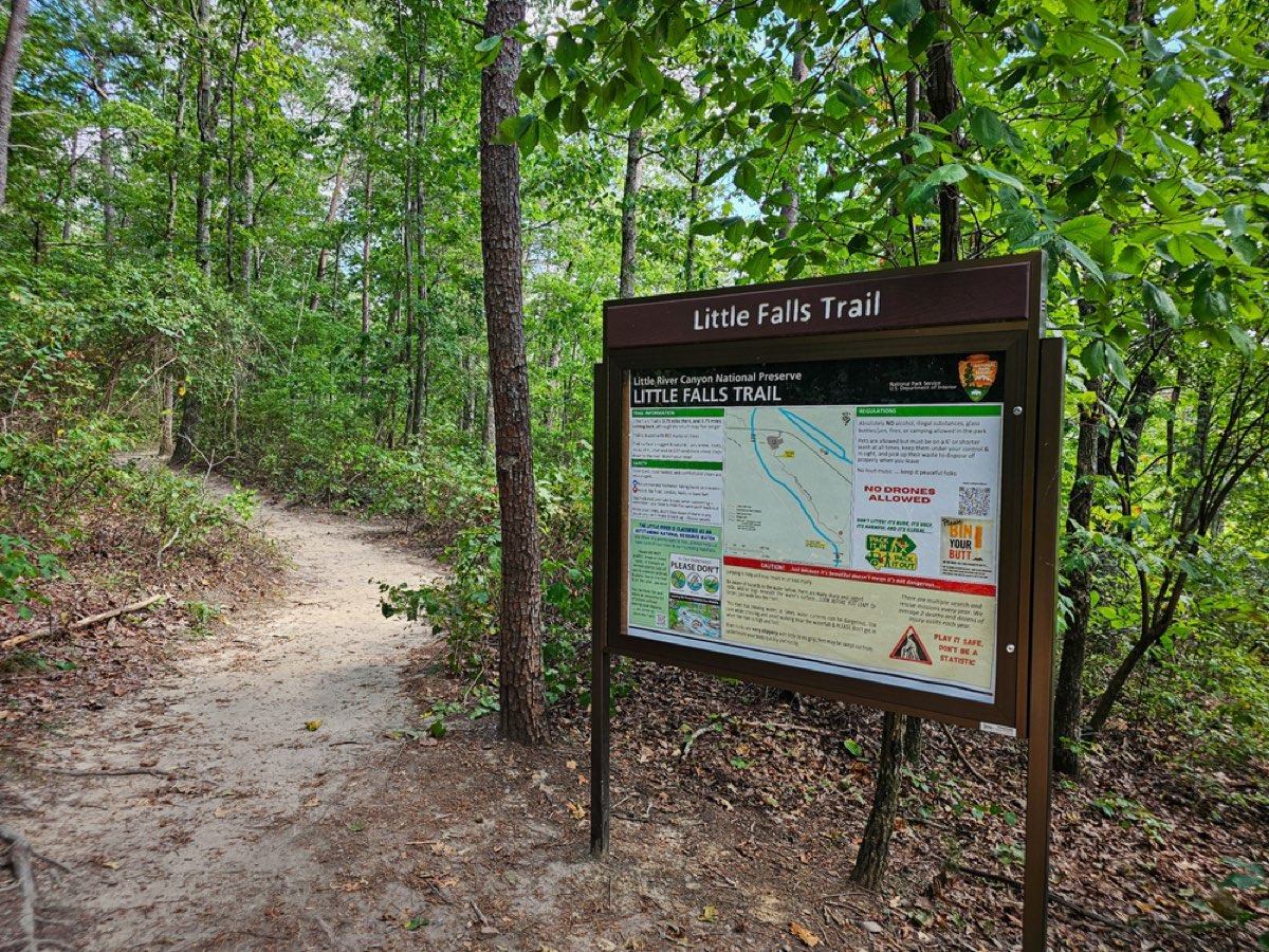 Hiker checking their route on a mountain trail